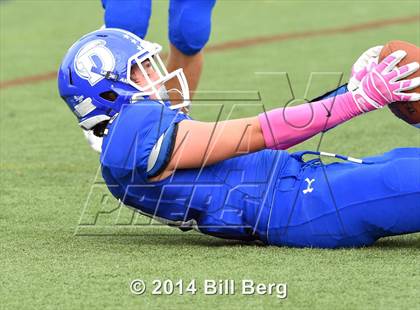 Thumbnail 3 in Warde @ Darien  photogallery.