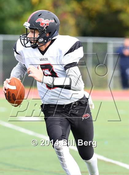 Thumbnail 3 in Warde @ Darien  photogallery.