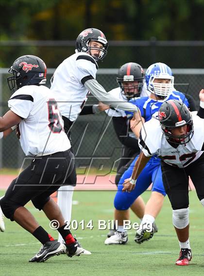 Thumbnail 2 in Warde @ Darien  photogallery.