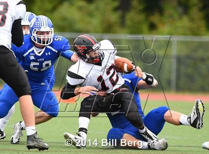 Thumbnail 2 in Warde @ Darien  photogallery.