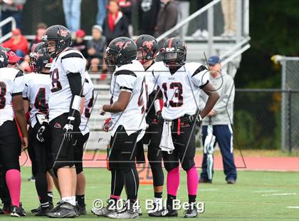 Thumbnail 1 in Warde @ Darien  photogallery.