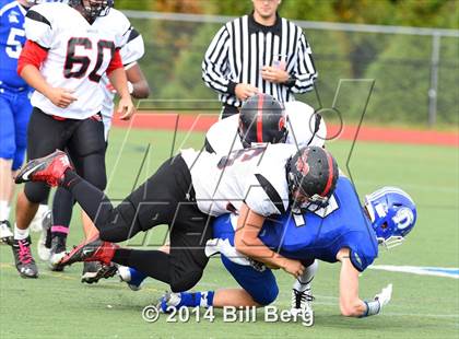 Thumbnail 2 in Warde @ Darien  photogallery.