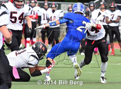 Thumbnail 3 in Warde @ Darien  photogallery.