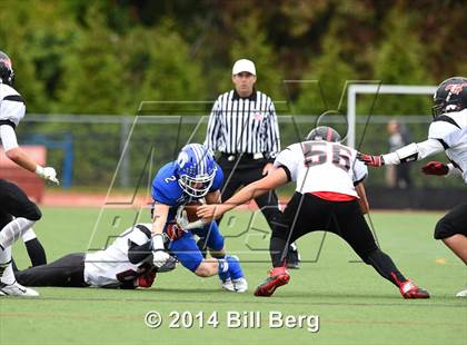 Thumbnail 2 in Warde @ Darien  photogallery.