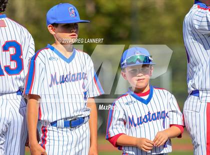 Thumbnail 2 in St. Vincent de Paul vs. Bentley (CIF NCS D5 First Round Playoff) photogallery.