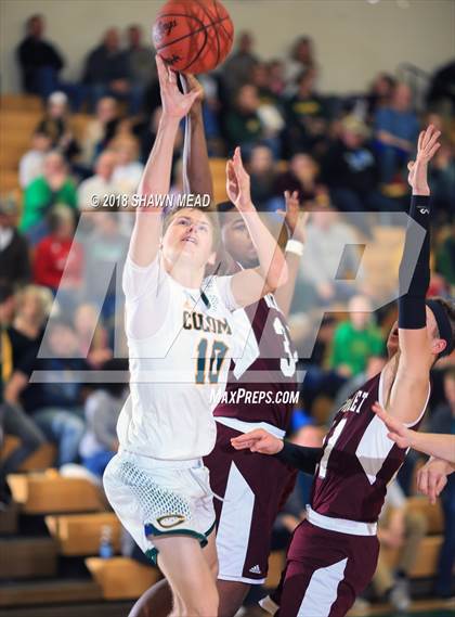 Thumbnail 1 in Watervliet @ Coloma photogallery.