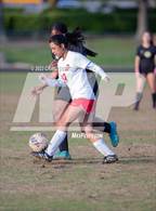 Photo from the gallery "Olympic @ Independence"