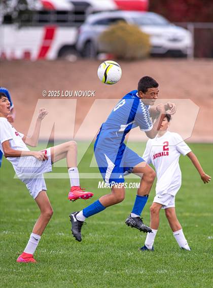 Thumbnail 1 in Robertson @ St. Michael's photogallery.