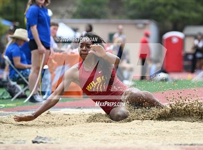 Thumbnail 2 in CIF-SS Masters - Girls Long Jump photogallery.