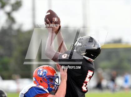 Thumbnail 3 in Ridgewood @ Pasco photogallery.