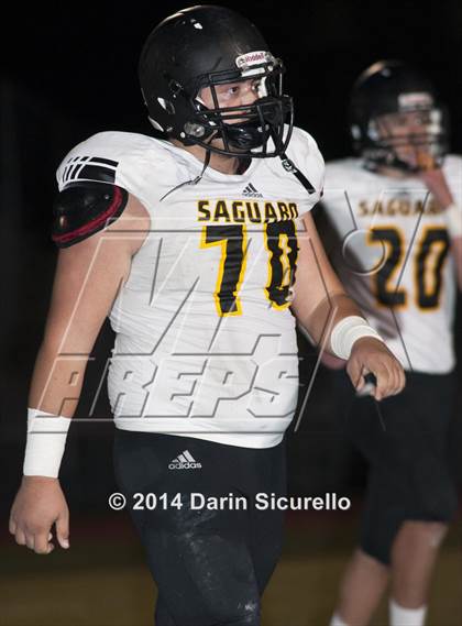 Thumbnail 2 in FR: Saguaro @ Higley photogallery.