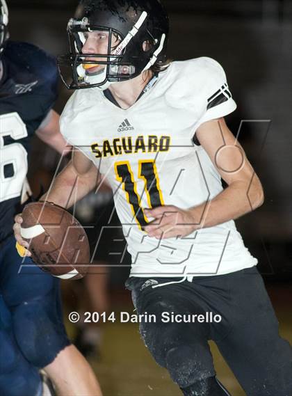 Thumbnail 1 in FR: Saguaro @ Higley photogallery.