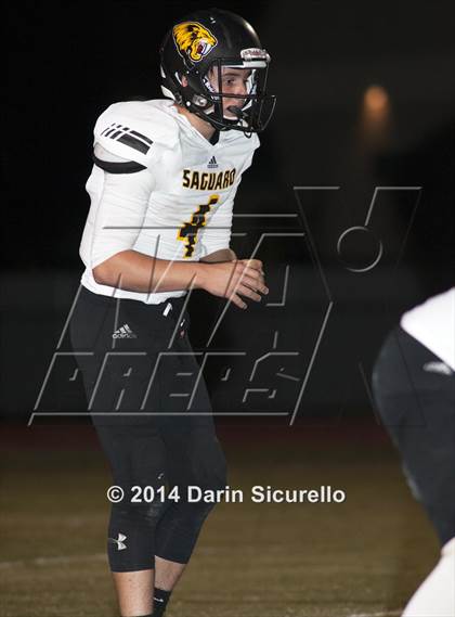 Thumbnail 1 in FR: Saguaro @ Higley photogallery.