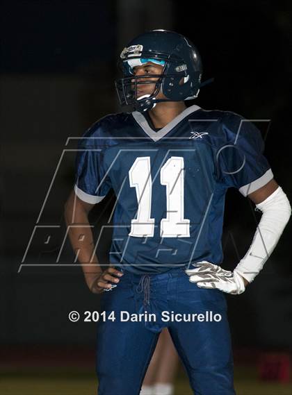 Thumbnail 1 in FR: Saguaro @ Higley photogallery.