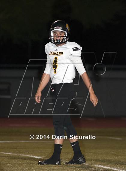 Thumbnail 1 in FR: Saguaro @ Higley photogallery.