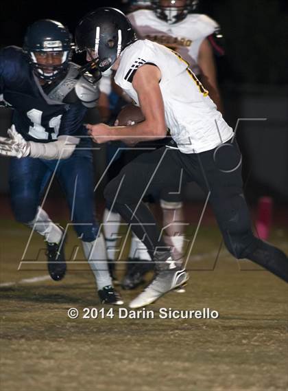 Thumbnail 1 in FR: Saguaro @ Higley photogallery.