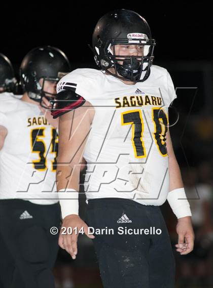 Thumbnail 1 in FR: Saguaro @ Higley photogallery.