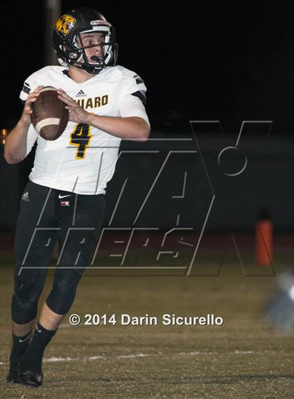Thumbnail 2 in FR: Saguaro @ Higley photogallery.