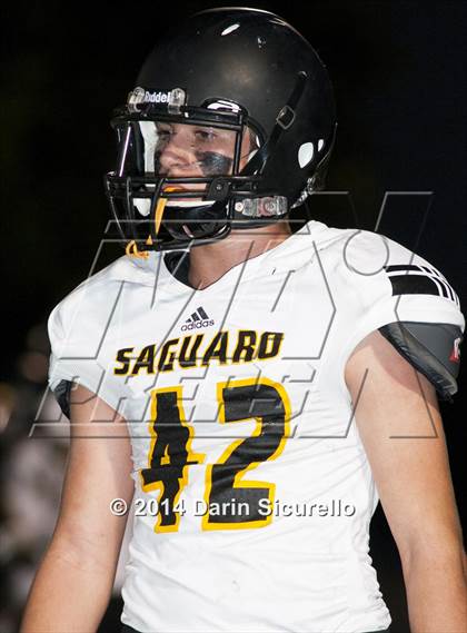 Thumbnail 3 in FR: Saguaro @ Higley photogallery.