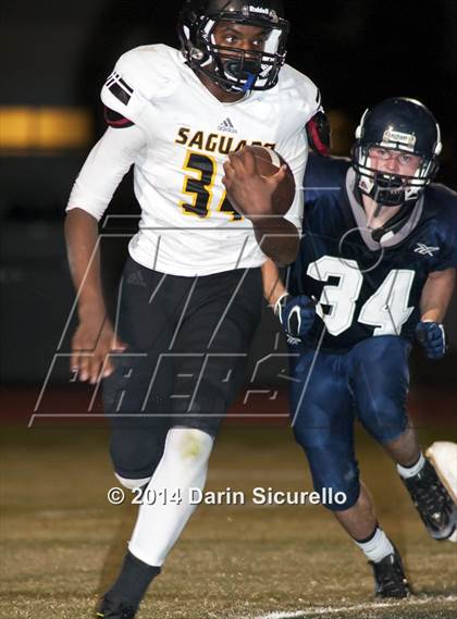 Thumbnail 2 in FR: Saguaro @ Higley photogallery.