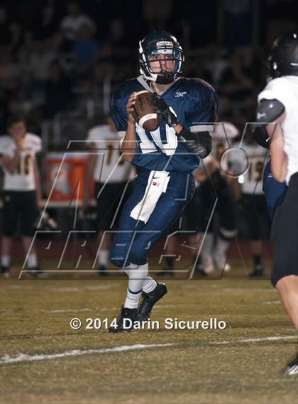 Thumbnail 1 in FR: Saguaro @ Higley photogallery.