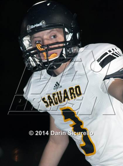 Thumbnail 3 in FR: Saguaro @ Higley photogallery.