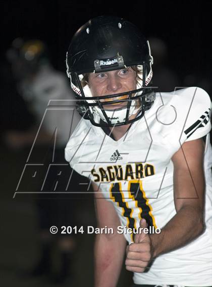 Thumbnail 2 in FR: Saguaro @ Higley photogallery.