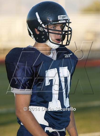Thumbnail 2 in FR: Saguaro @ Higley photogallery.