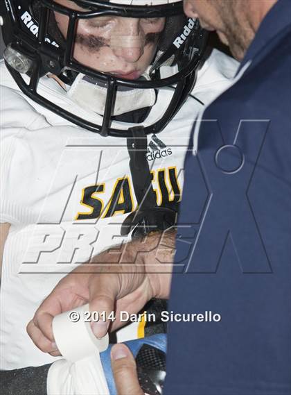 Thumbnail 3 in FR: Saguaro @ Higley photogallery.