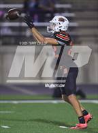 Photo from the gallery "Morgan @ Ogden"