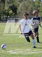 Photo from the gallery "Yarmouth @ Poland"