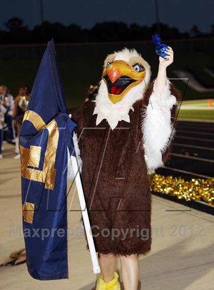 Thumbnail 2 in New Diana @ Harleton photogallery.