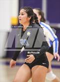 Photo from the gallery "Linden @ Bret Harte"
