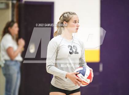 Thumbnail 2 in Linden @ Bret Harte photogallery.