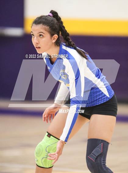 Thumbnail 1 in Linden @ Bret Harte photogallery.