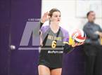 Photo from the gallery "Linden @ Bret Harte"