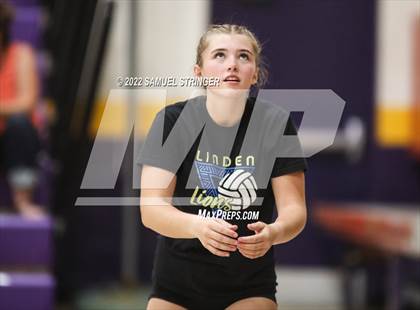 Thumbnail 3 in Linden @ Bret Harte photogallery.