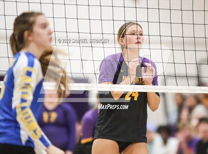 Thumbnail 1 in Linden @ Bret Harte photogallery.