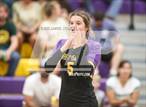 Photo from the gallery "Linden @ Bret Harte"