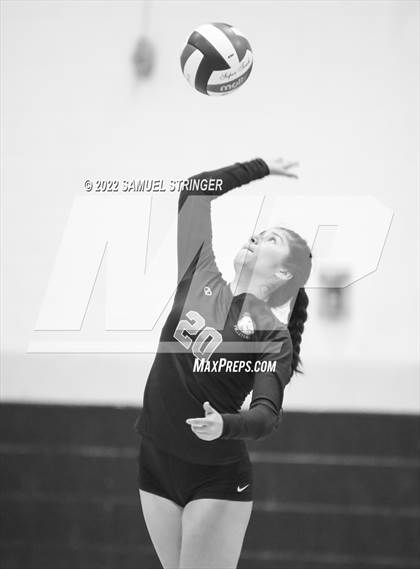 Thumbnail 2 in Linden @ Bret Harte photogallery.