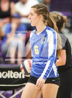 Photo from the gallery "Linden @ Bret Harte"