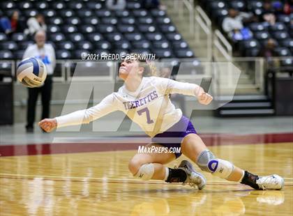 Thumbnail 1 in Beckville vs. Thrall (UIL Volleyball 2A Finals)  photogallery.