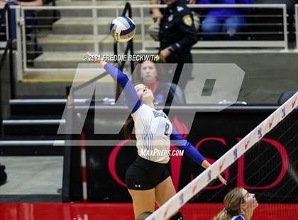 Thumbnail 1 in Beckville vs. Thrall (UIL Volleyball 2A Finals)  photogallery.