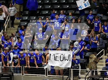 Thumbnail 3 in Beckville vs. Thrall (UIL Volleyball 2A Finals)  photogallery.