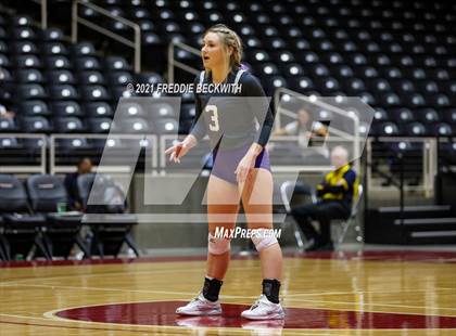 Thumbnail 3 in Beckville vs. Thrall (UIL Volleyball 2A Finals)  photogallery.