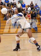 Photo from the gallery "Linden @ Bear Creek"