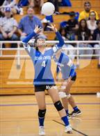 Photo from the gallery "Linden @ Bear Creek"