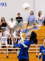 Photo from the gallery "Linden @ Bear Creek"