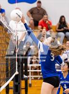 Photo from the gallery "Linden @ Bear Creek"