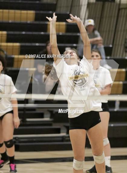 Thumbnail 1 in Senior All-Star Match photogallery.
